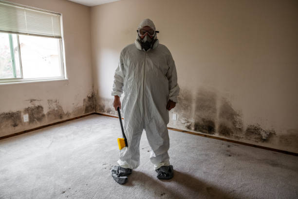 Best Residential Mold Removal  in Laconia, NH